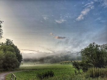 Trees on field against sky