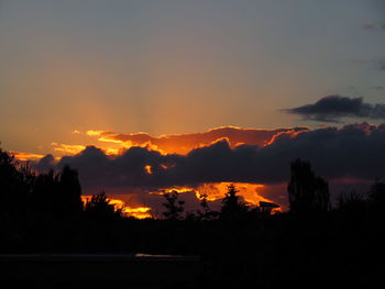 Silhouette trees against orange sky