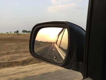 Reflection of trees in side-view mirror