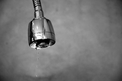 Close-up of shower head in bathroom