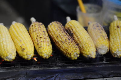 Close-up of corns on barbecue grill