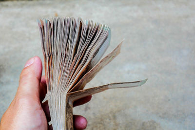 Close-up of hand holding paper currency