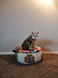 Portrait of cat sitting with toy at home