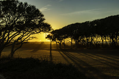 Silhouette trees on field against sky at sunset