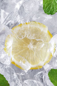 High angle view of lemon slice