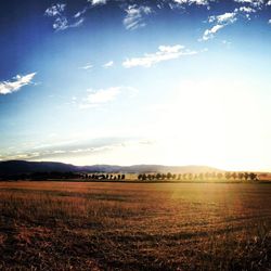 Scenic view of landscape against clear sky