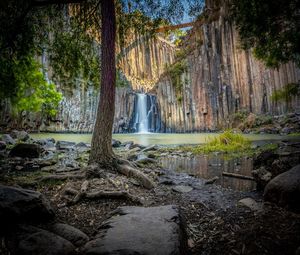 Scenic view of waterfall in forest