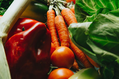 High angle view of tomatoes