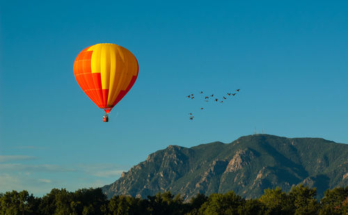 Low angle view of birds flying by hot air balloon over mountain against sky