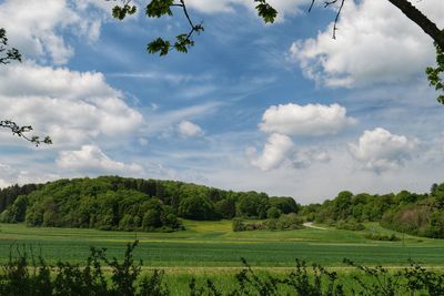 Scenic view of field against sky