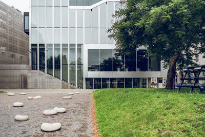 Trees growing on field by buildings in city