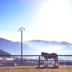 Scenic view of field and mountains against clear sky