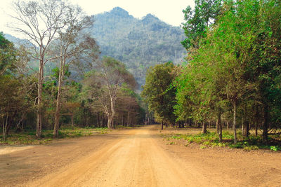 Scenic view of trees and mountains against sky