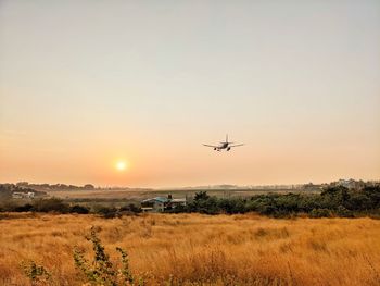 Airplane flying over field against sky during sunset