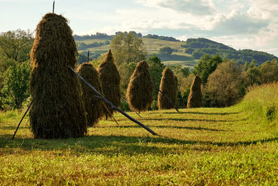 Hay bales on field against sky