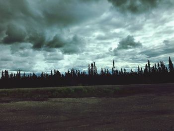 Trees on field against cloudy sky