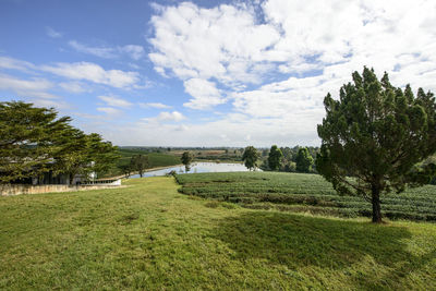 Scenic view of landscape against sky