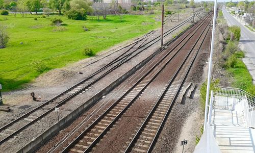 Railroad tracks amidst trees