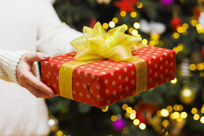 Midsection of woman holding christmas tree