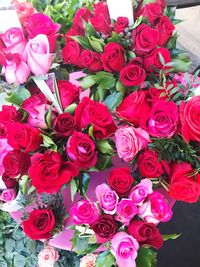 Close-up of red roses