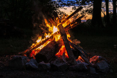 Bonfire on wooden log at night