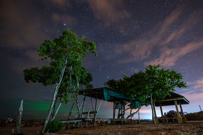 Low angle view of trees on field against sky at night