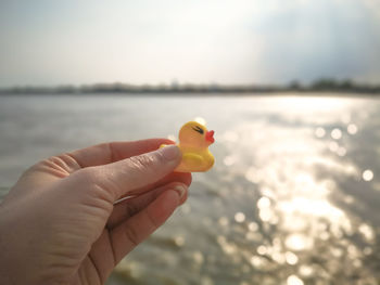 Midsection of person holding sea against sky