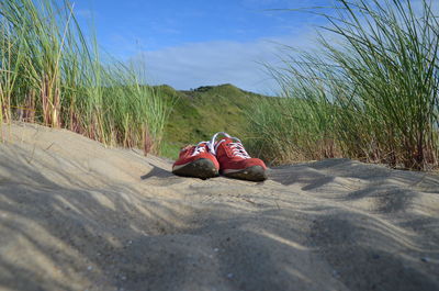 Low section of person on sand at beach against sky