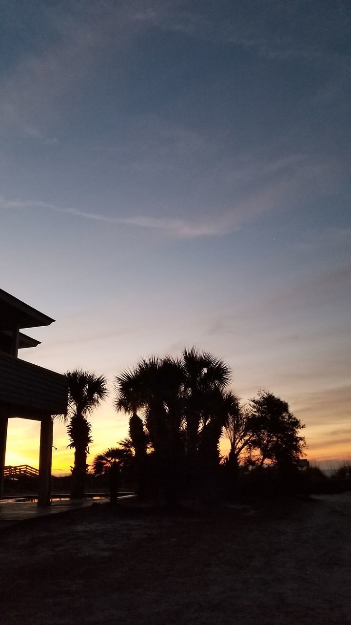 SILHOUETTE TREES ON FIELD DURING SUNSET