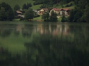 Reflection of trees in water