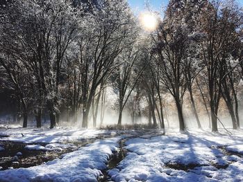 Frozen trees on landscape against sky during winter