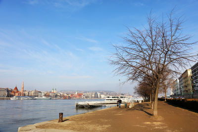 Bare tree on promenade by river in city