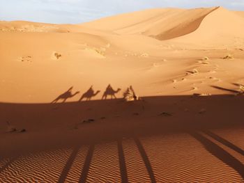 Scenic view of desert against sky