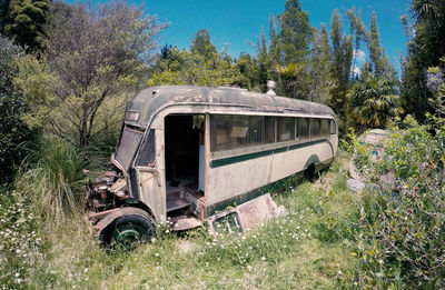 Abandoned bus amidst trees