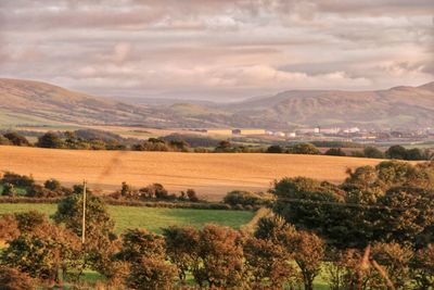 Scenic view of agricultural field against sky during sunset