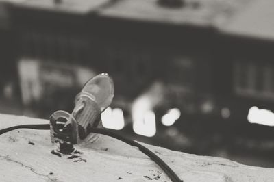 Close-up of plant against blurred background