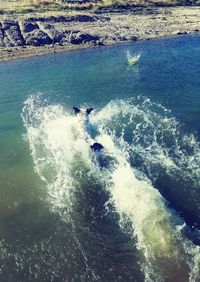 High angle view of people on sea shore