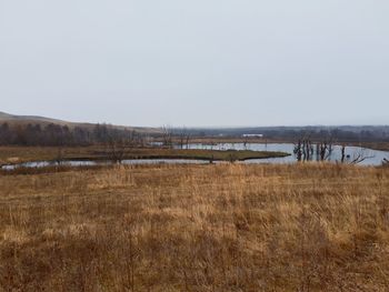 Scenic view of lake against clear sky