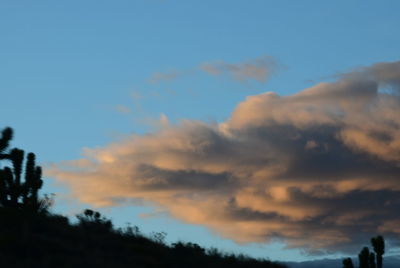 Low angle view of silhouette trees against sky