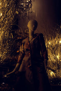 Mannequin wearing dress against plants at night