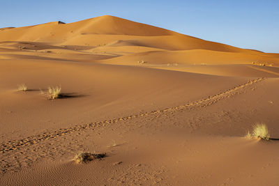 Sand dunes in desert against clear sky