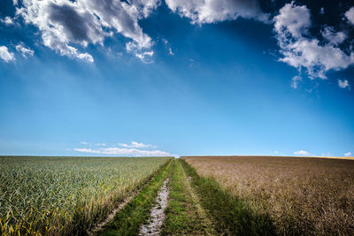 Scenic view of field against sky