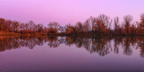 Reflection of trees in lake against sky