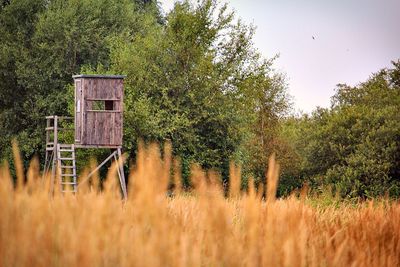 Plants growing on field against trees