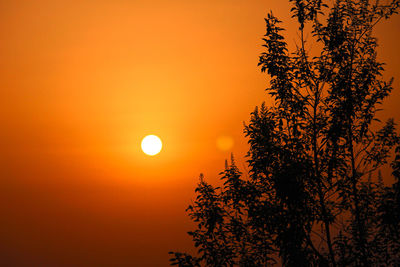 Silhouette tree against orange sky