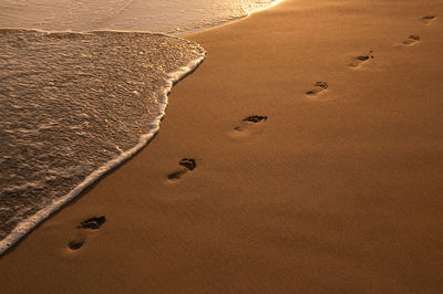 High angle view of footprints on sand at beach