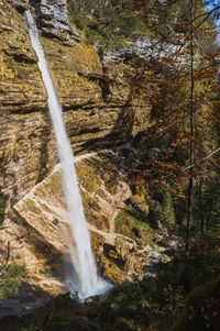 Scenic view of waterfall in forest