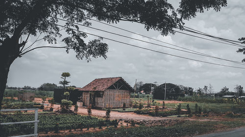 Plants growing on field by houses against sky