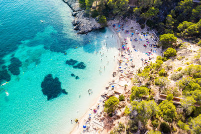 High angle view of trees by sea