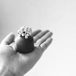 Cropped image of hand holding nail over white background